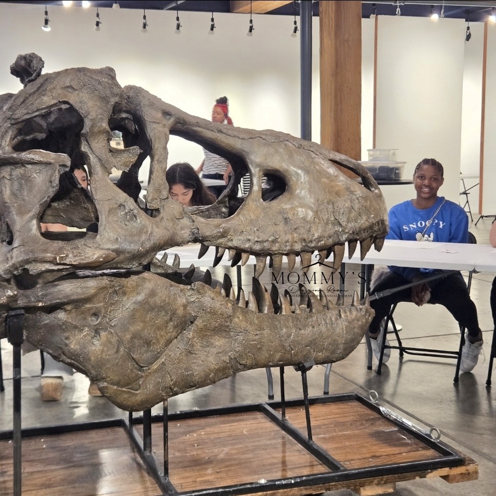 10 Chicagoland Youth Programs